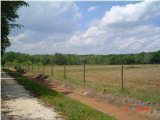 3451 Farish Road Jay, FL 32565 - Photo 1 of 1 a view of a lake with a big yard