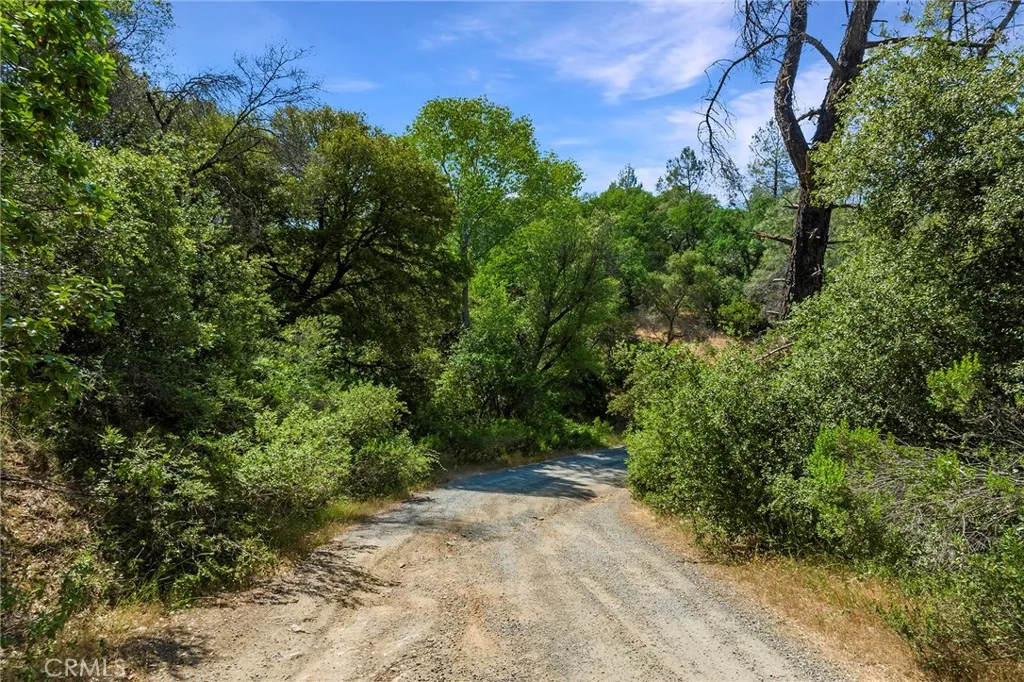 0 Rich Gulch Road Oroville, CA 95965 - Photo 4 of 9 a view of a yard with plants and a bench under a tree