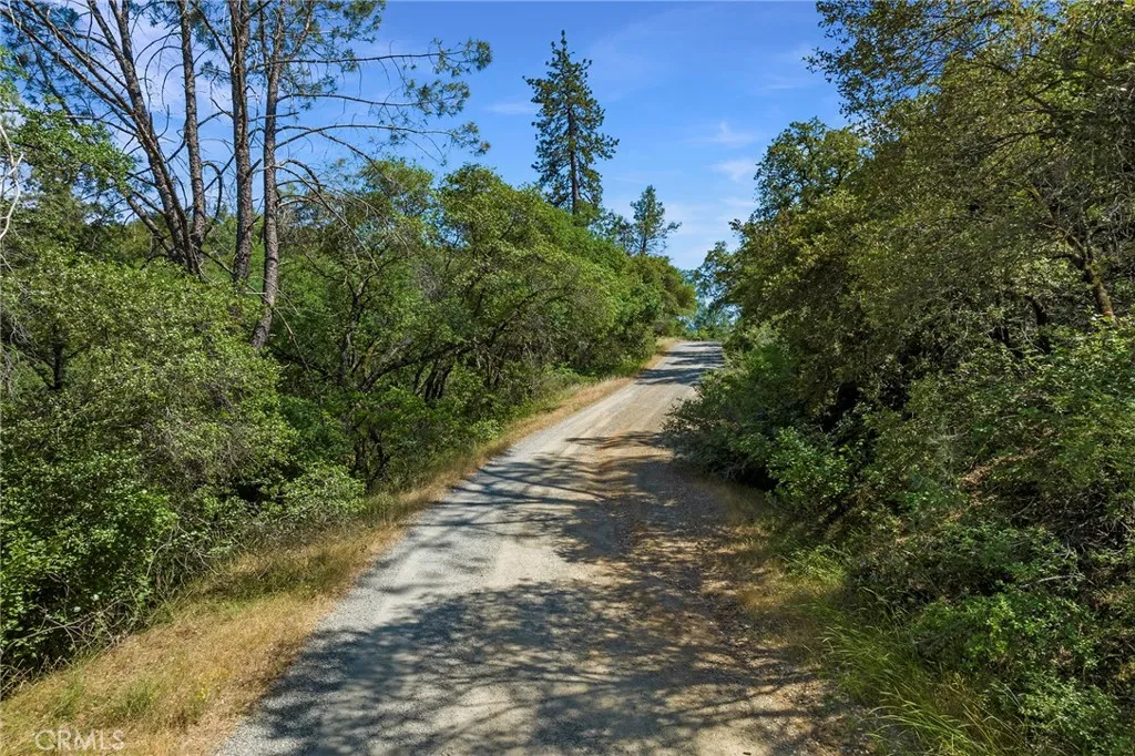 0 Rich Gulch Road Oroville, CA 95965 - Photo 5 of 9 a view of a pathway with a tree