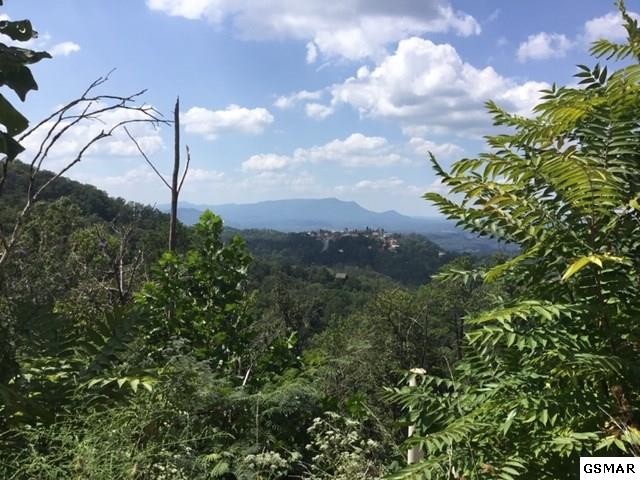 0 Windy Lane Sevierville, TN 37876 - Photo 1 of 5