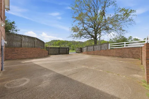 a view of backyard and tree