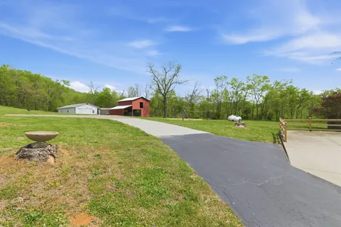 a view of a park with large trees