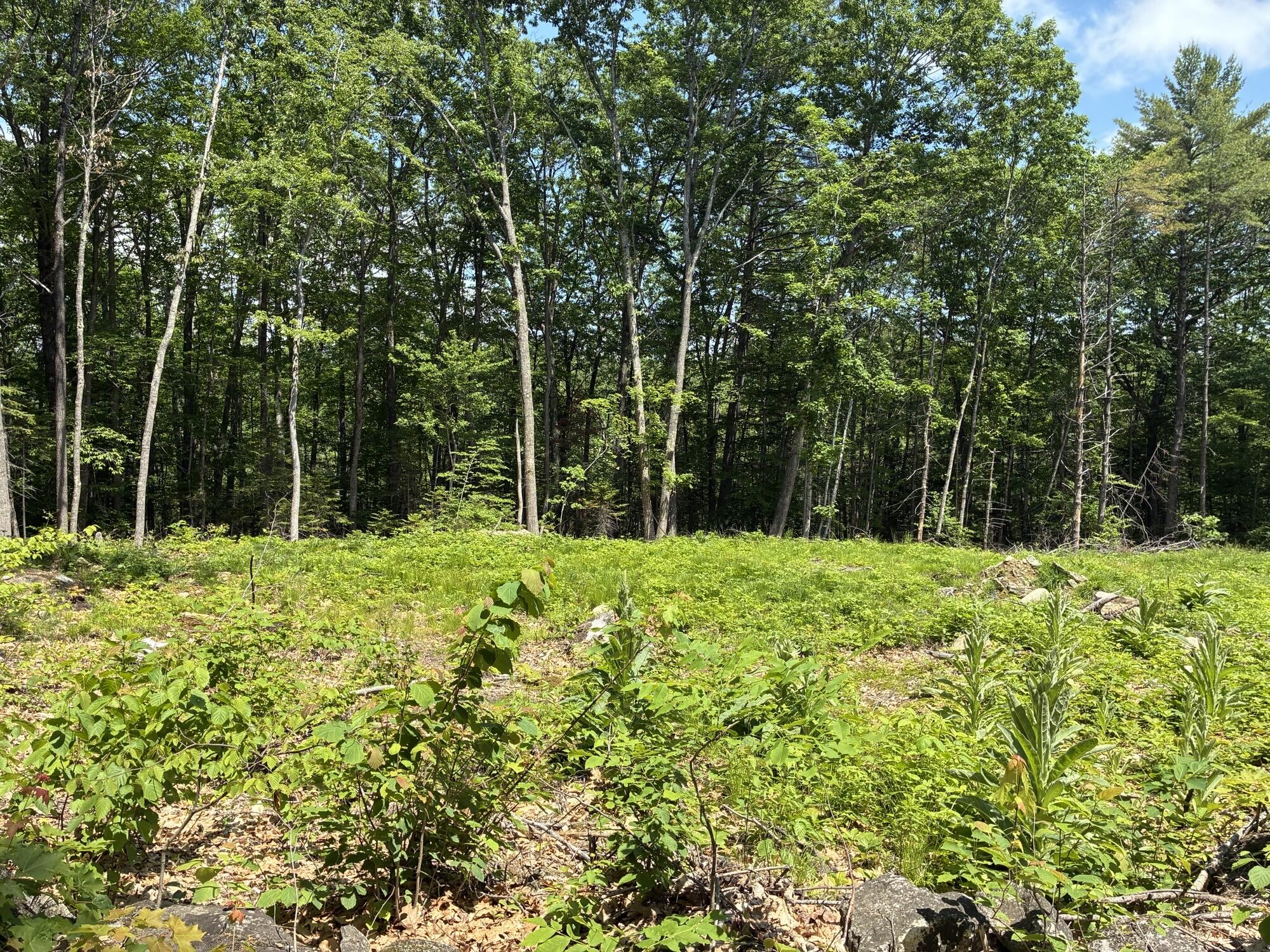 Map7-lot40 Round-The-Pond Road Norway, ME 04268 - Photo 2 of 6 IMG_2069