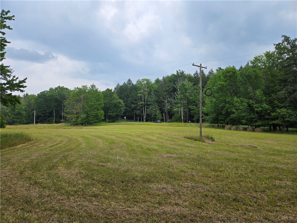 Lot 10 Bull Hill Road Gilboa, NY 12076 - Photo 11 of 42