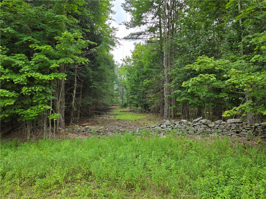 Lot 10 Bull Hill Road Gilboa, NY 12076 - Photo 12 of 42