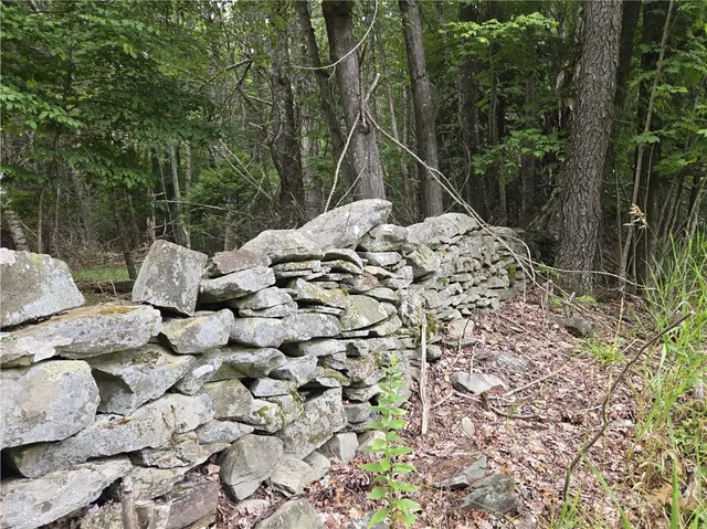 $49,900 | Lot 10 Bull Hill Road, Gilboa, NY 12076