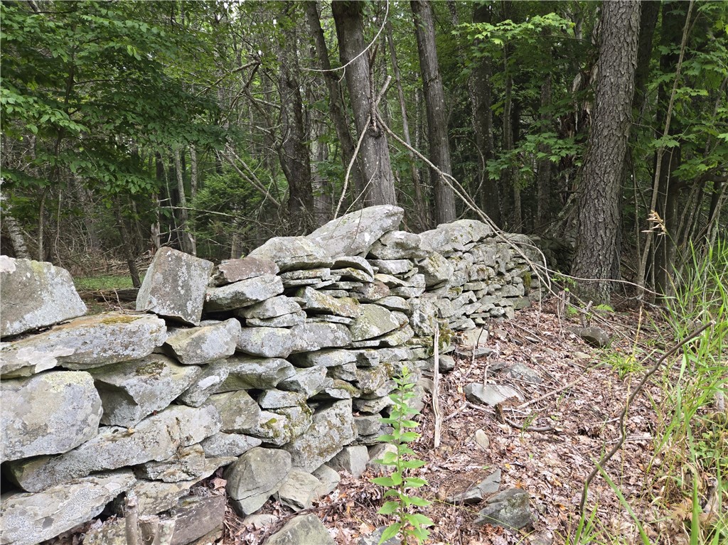 Lot 10 Bull Hill Road Gilboa, NY 12076 - Photo 13 of 42