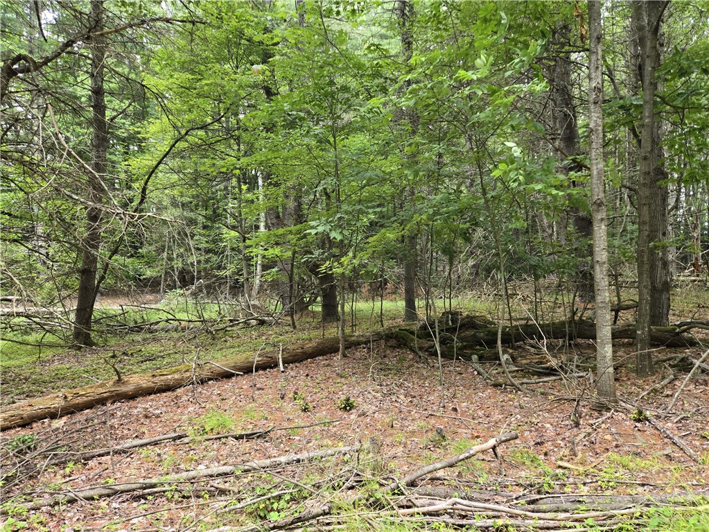 Lot 10 Bull Hill Road Gilboa, NY 12076 - Photo 14 of 42