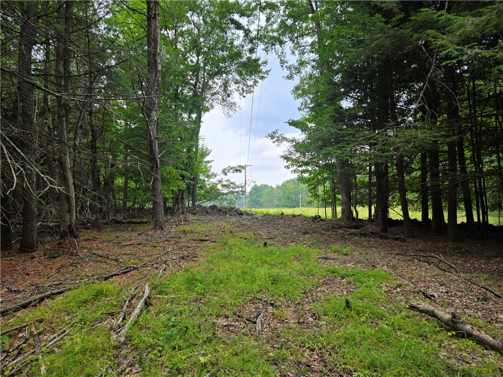 Lot 10 Bull Hill Road Gilboa, NY 12076 - Photo 15 of 42