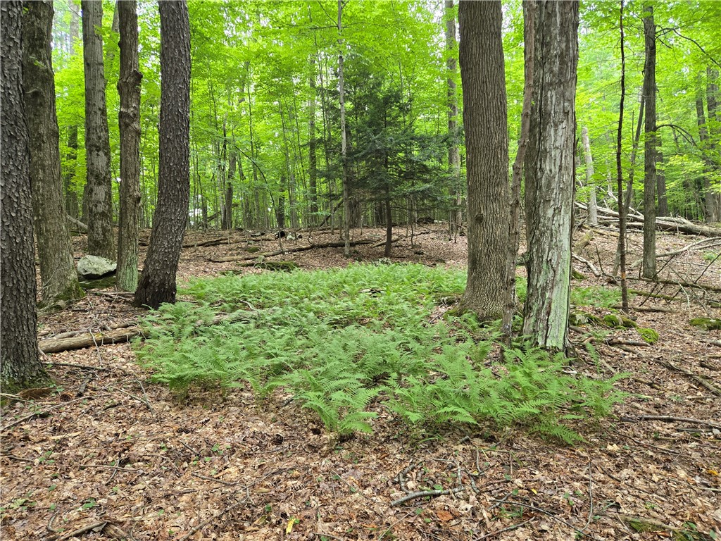 Lot 10 Bull Hill Road Gilboa, NY 12076 - Photo 17 of 42