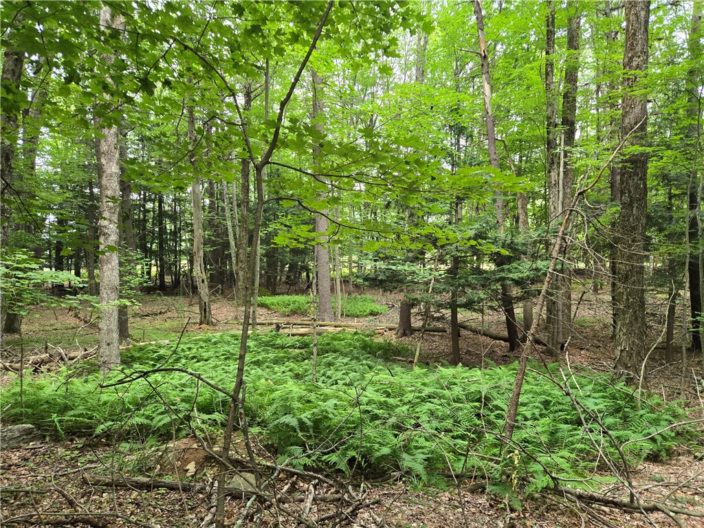 Lot 10 Bull Hill Road Gilboa, NY 12076 - Photo 18 of 42