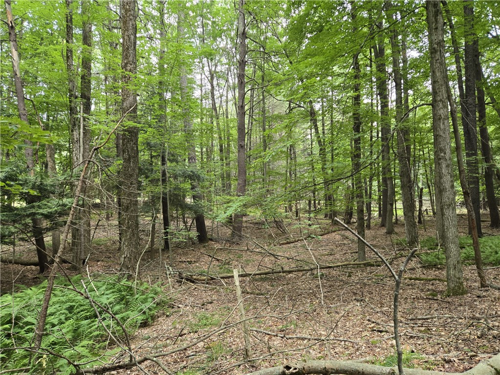 Lot 10 Bull Hill Road Gilboa, NY 12076 - Photo 19 of 42