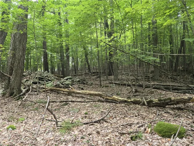 $49,900 | Lot 10 Bull Hill Road, Gilboa, NY 12076