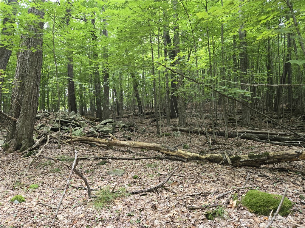 Lot 10 Bull Hill Road Gilboa, NY 12076 - Photo 20 of 42