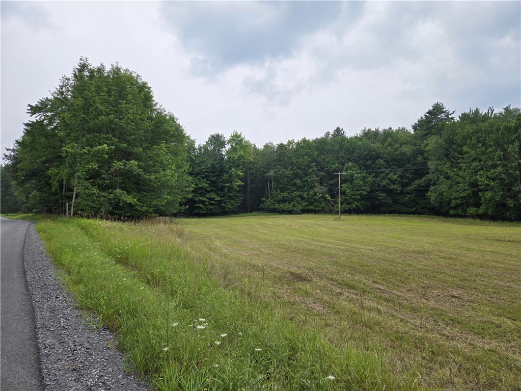 Lot 10 Bull Hill Road Gilboa, NY 12076 - Photo 2 of 42