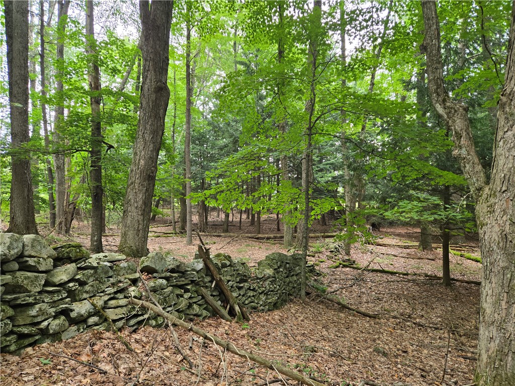 Lot 10 Bull Hill Road Gilboa, NY 12076 - Photo 21 of 42