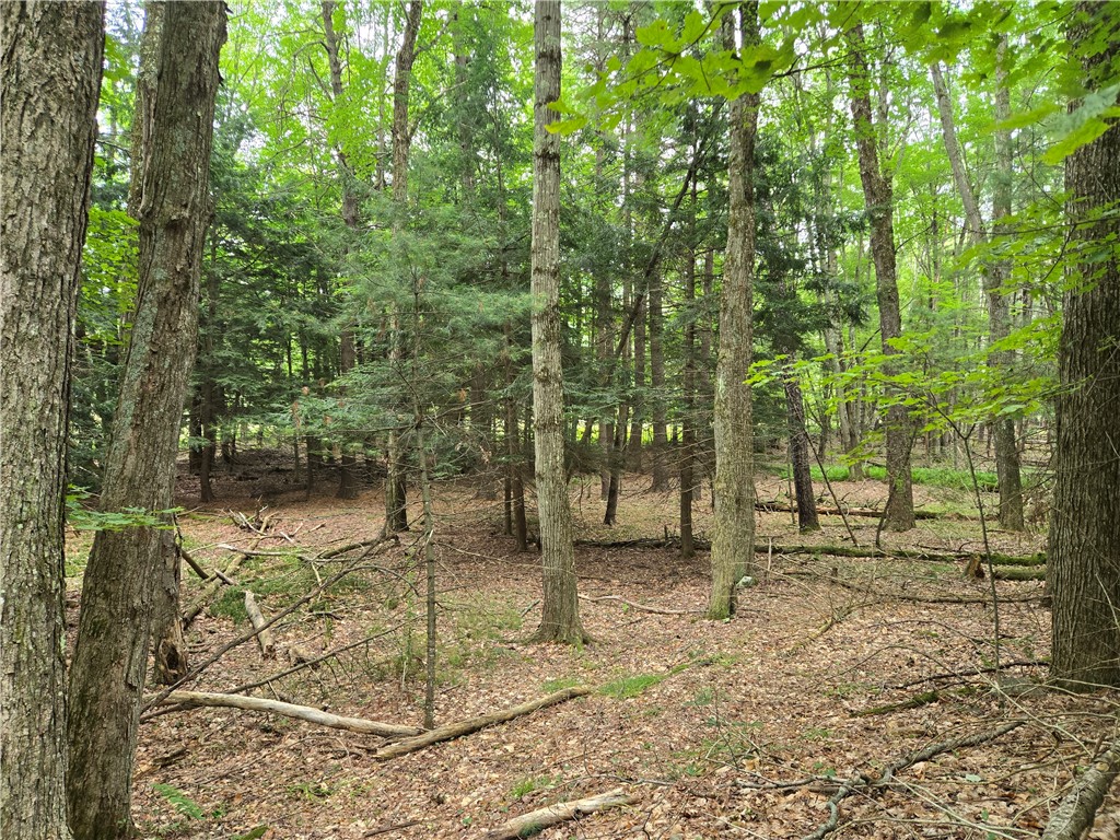 Lot 10 Bull Hill Road Gilboa, NY 12076 - Photo 22 of 42