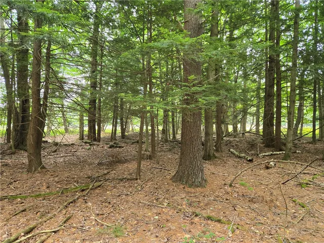 $49,900 | Lot 10 Bull Hill Road, Gilboa, NY 12076