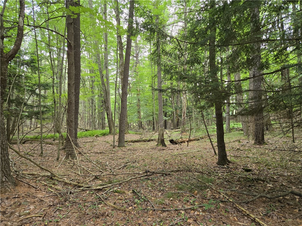 Lot 10 Bull Hill Road Gilboa, NY 12076 - Photo 24 of 42