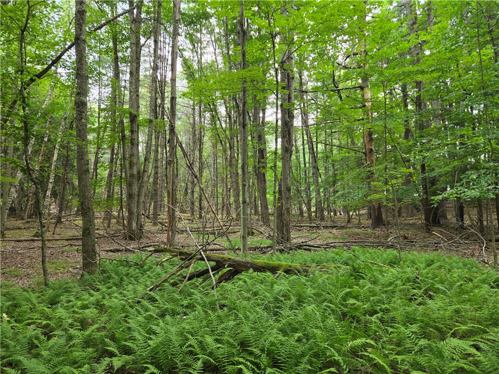 Lot 10 Bull Hill Road Gilboa, NY 12076 - Photo 25 of 42