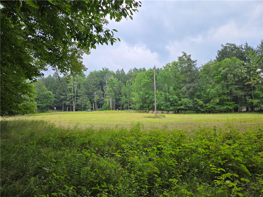 Lot 10 Bull Hill Road Gilboa, NY 12076 - Photo 26 of 42