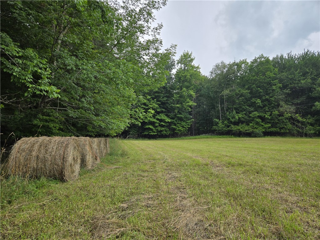 Lot 10 Bull Hill Road Gilboa, NY 12076 - Photo 27 of 42