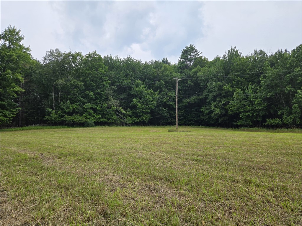 Lot 10 Bull Hill Road Gilboa, NY 12076 - Photo 28 of 42