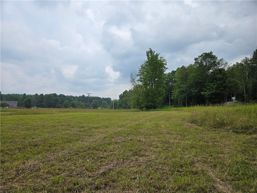 Lot 10 Bull Hill Road Gilboa, NY 12076 - Photo 30 of 42