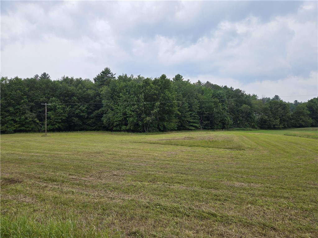 Lot 10 Bull Hill Road Gilboa, NY 12076 - Photo 3 of 42