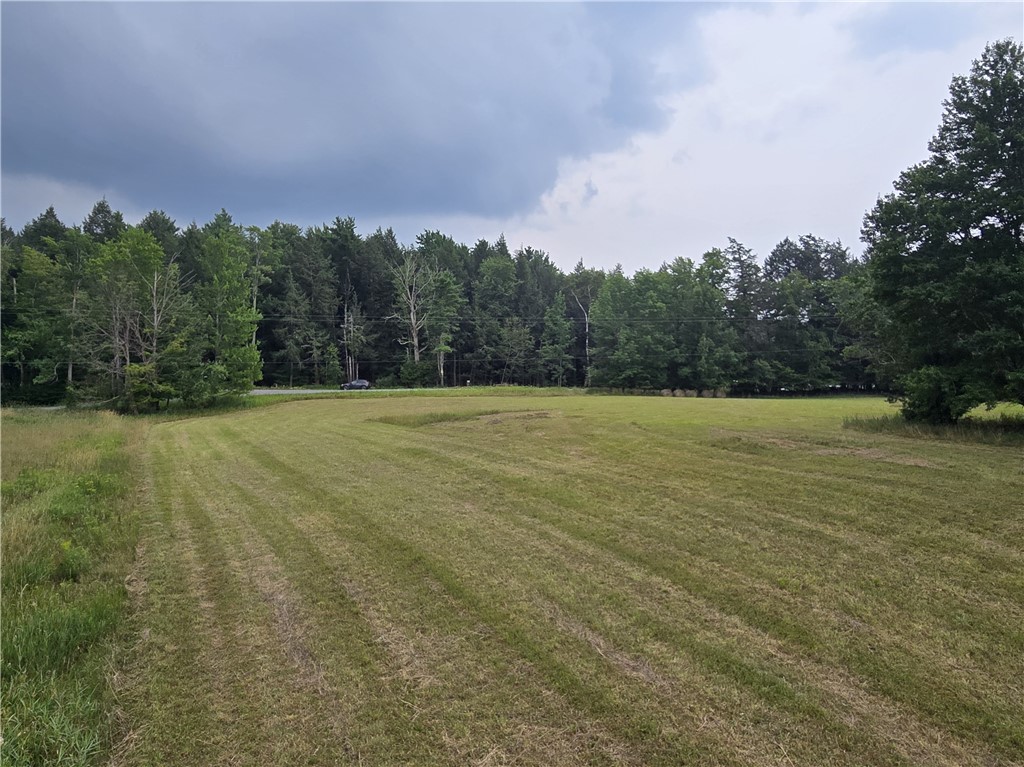 Lot 10 Bull Hill Road Gilboa, NY 12076 - Photo 33 of 42