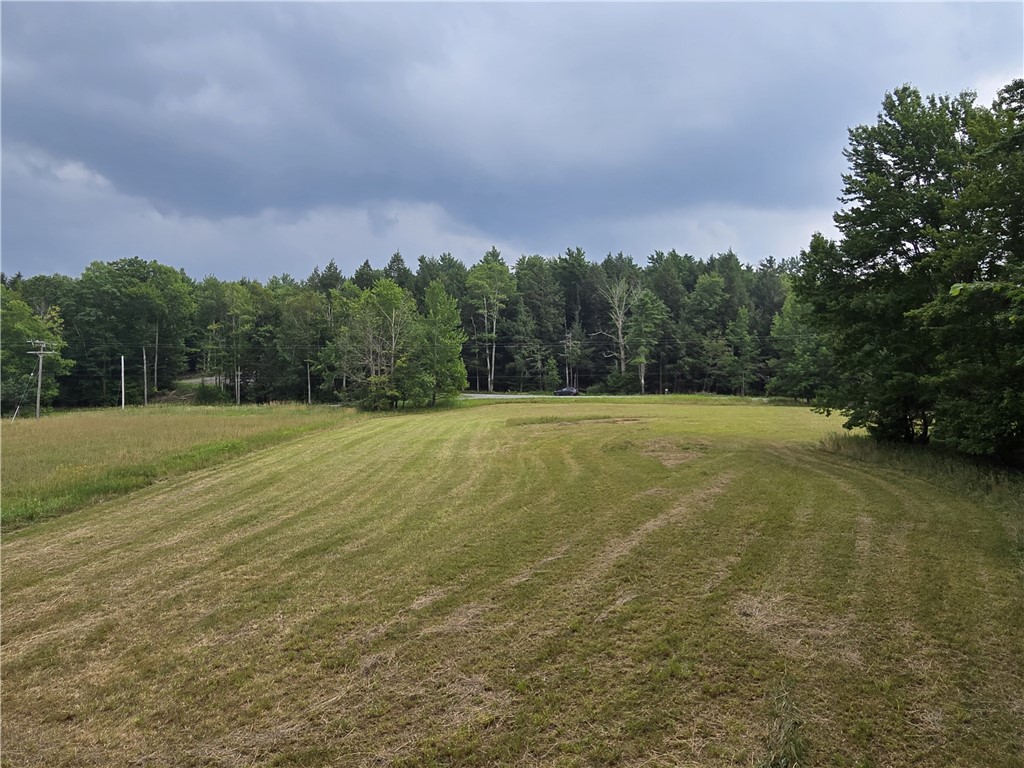 Lot 10 Bull Hill Road Gilboa, NY 12076 - Photo 34 of 42