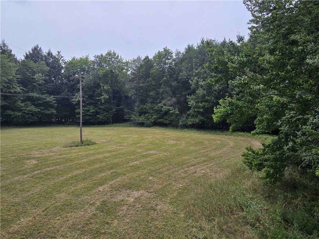 Lot 10 Bull Hill Road Gilboa, NY 12076 - Photo 35 of 42