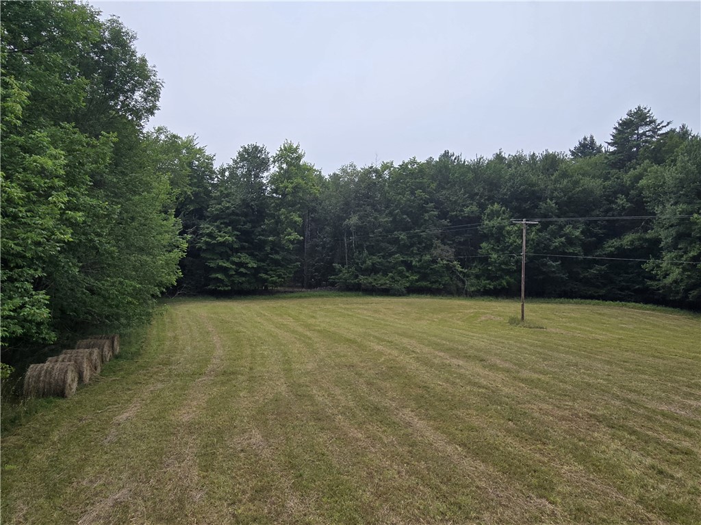 Lot 10 Bull Hill Road Gilboa, NY 12076 - Photo 36 of 42