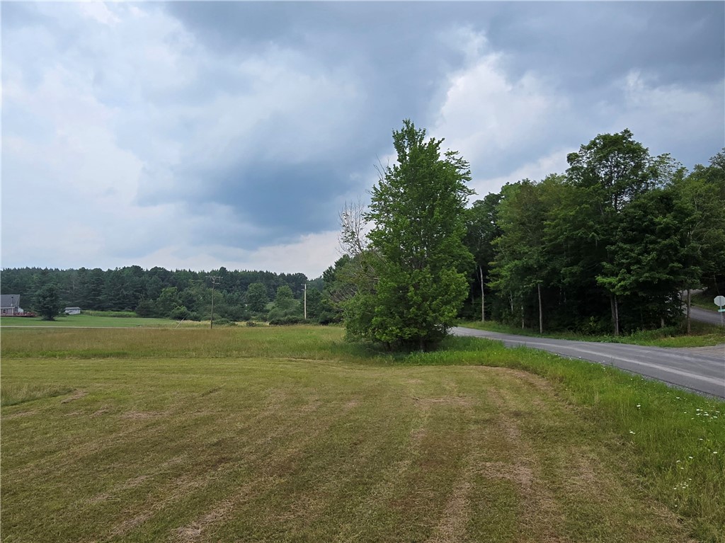 Lot 10 Bull Hill Road Gilboa, NY 12076 - Photo 38 of 42