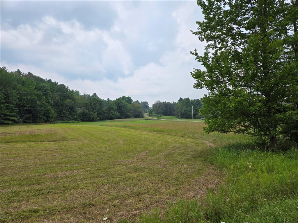 Lot 10 Bull Hill Road Gilboa, NY 12076 - Photo 4 of 42
