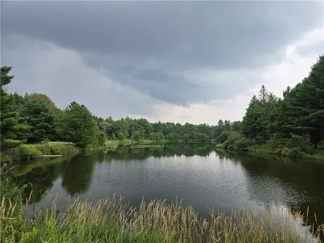 $49,900 | Lot 10 Bull Hill Road, Gilboa, NY 12076