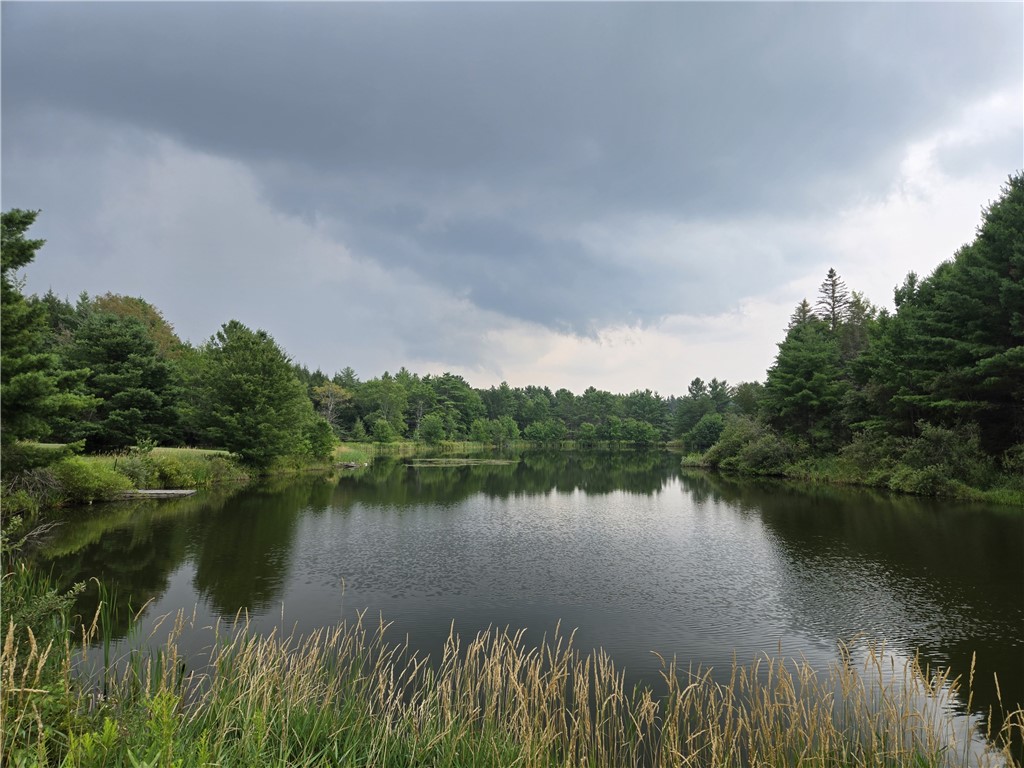 Lot 10 Bull Hill Road Gilboa, NY 12076 - Photo 41 of 42