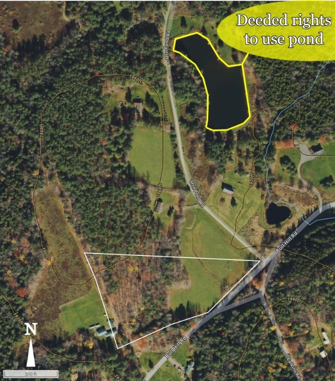 Lot 10 Bull Hill Road Gilboa, NY 12076 - Photo 6 of 42