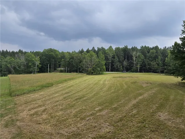 $49,900 | Lot 10 Bull Hill Road, Gilboa, NY 12076