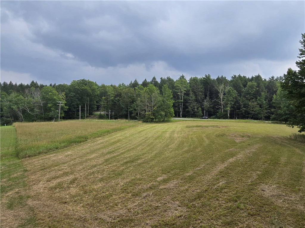 Lot 10 Bull Hill Road Gilboa, NY 12076 - Photo 7 of 42