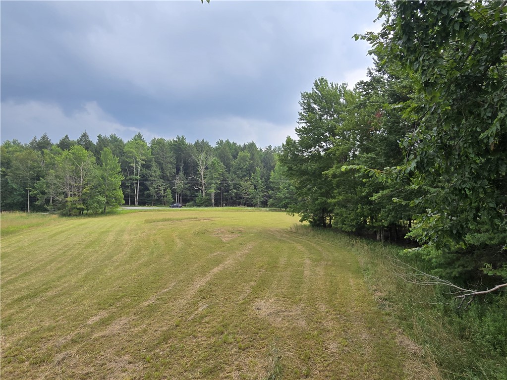 Lot 10 Bull Hill Road Gilboa, NY 12076 - Photo 8 of 42