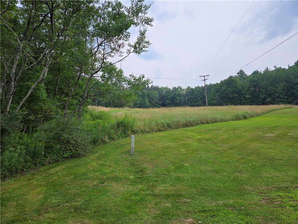 Lot 10 Bull Hill Road Gilboa, NY 12076 - Photo 9 of 42