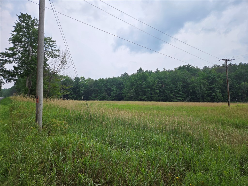 Lot 10 Bull Hill Road Gilboa, NY 12076 - Photo 10 of 42