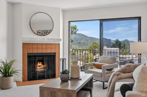 a living room with furniture a fireplace and a floor to ceiling window
