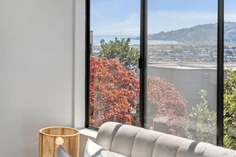 an aerial view of residential houses with outdoor space and river