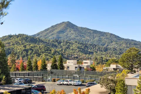 a view of multiple house