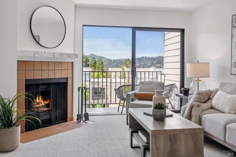 a living room with furniture a fireplace and a floor to ceiling window