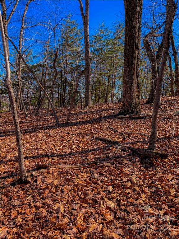 1827 Sierra Trace Road, Unit 161 Denton, NC 27239 - Photo 13 of 34 Gallery Image 13