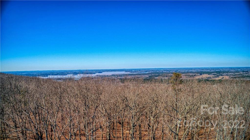 1827 Sierra Trace Road, Unit 161 Denton, NC 27239 - Photo 7 of 34 Gallery Image 7