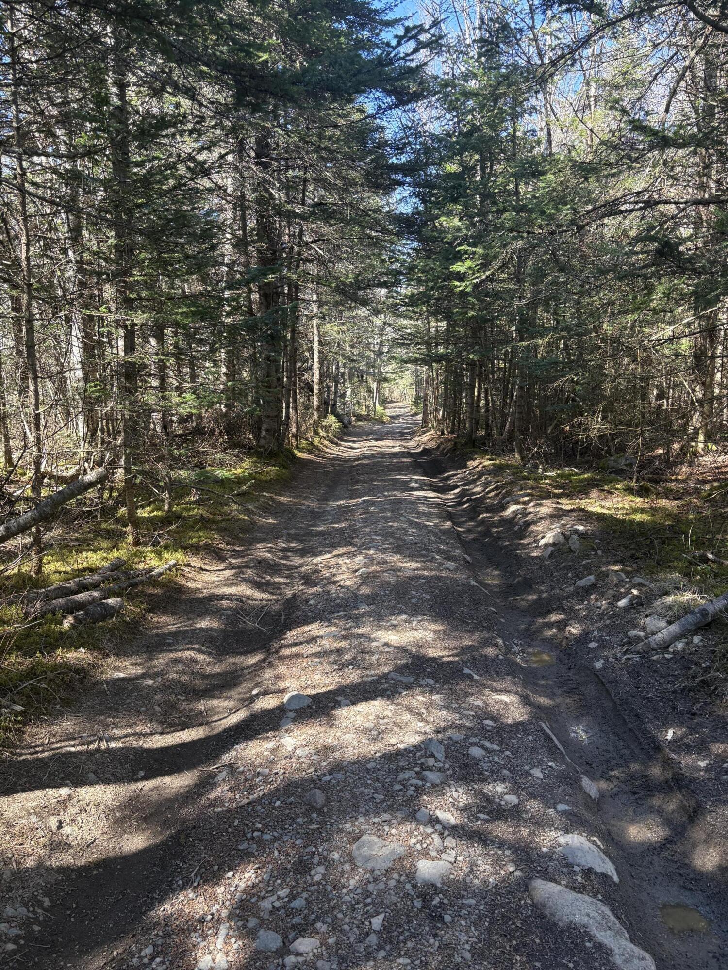 99 Little Machias Road Cutler, ME 04626 - Photo 17 of 86
